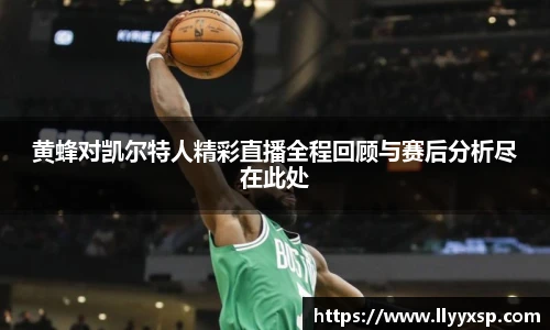 黄蜂对凯尔特人精彩直播全程回顾与赛后分析尽在此处