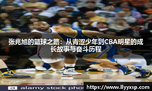 智博19有限公司