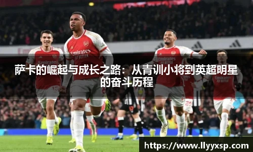 智博19有限公司