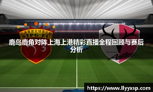 智博19有限公司