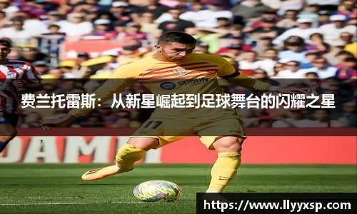 智博19有限公司